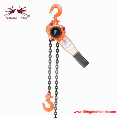 Lever Chain Hoist Novo Tipo Novo Modelo 1000kg 1Ton 1,5 metros Chain de carga G80 Material de aço ligado